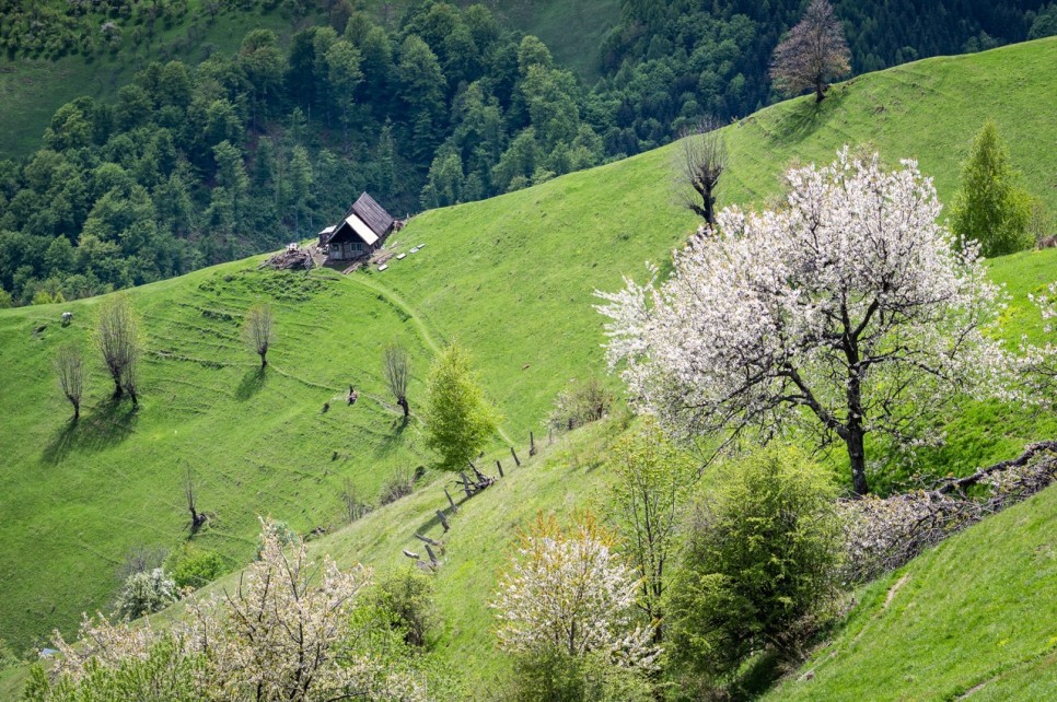 Experiențe autentice între natură, comunitate și tradiții