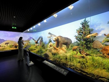 Muzeul Național de Istorie Naturală „Grigore Antipa”, București