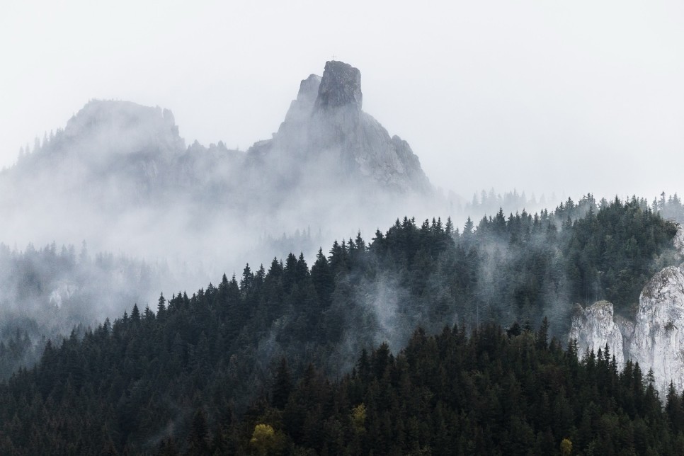 Experiență completă între natură și adrenalină