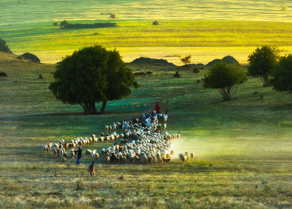 Siguranță și orientare în Parcul Național Munții Măcinului