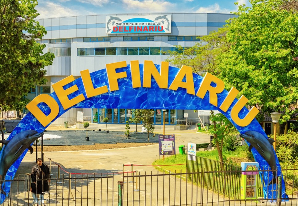 O experiență care fascinează la orice vârstă