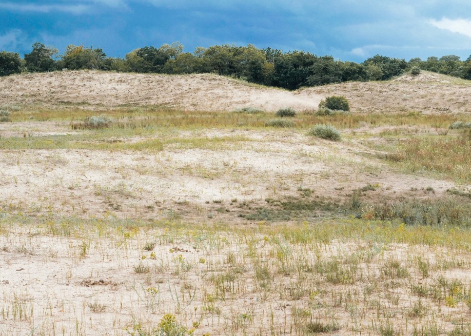 Un ecosistem unic în inima Deltei Dunării