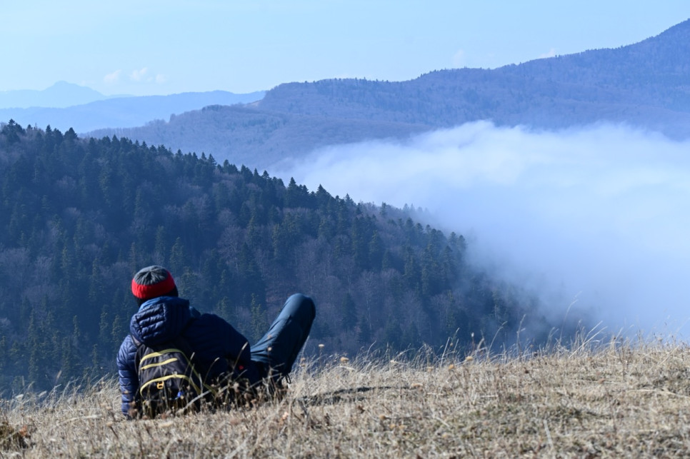 Natura care te inspiră și te stimulează