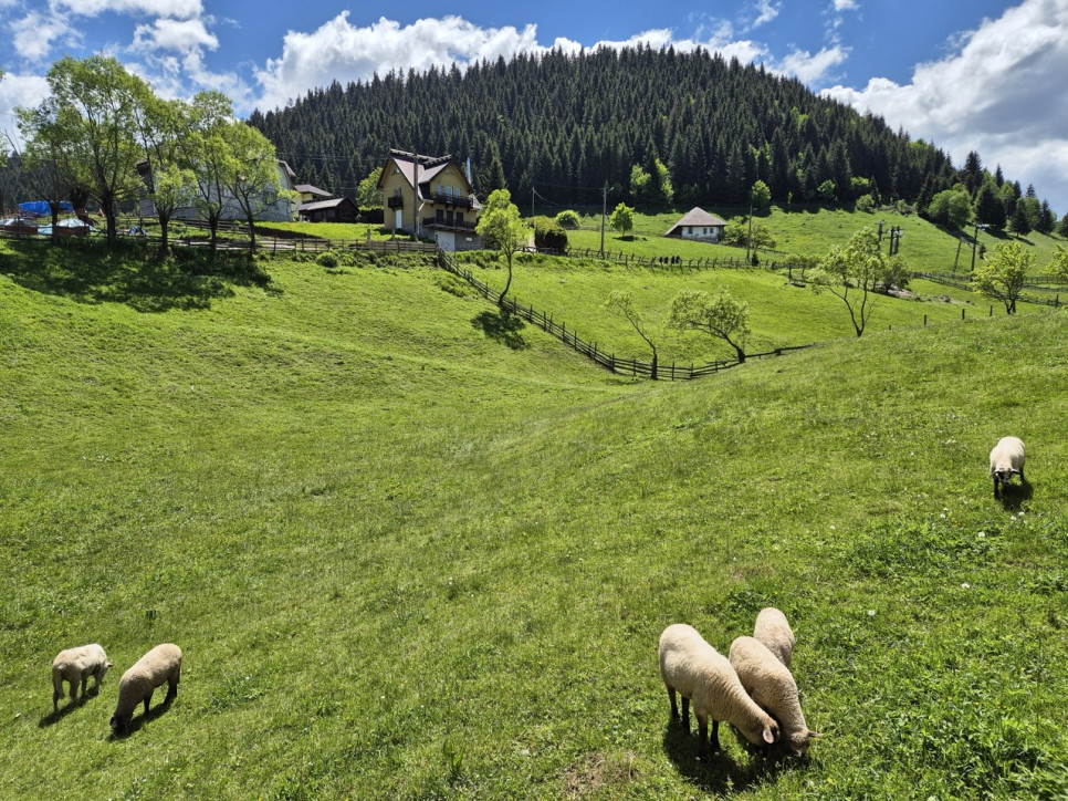 Descoperă