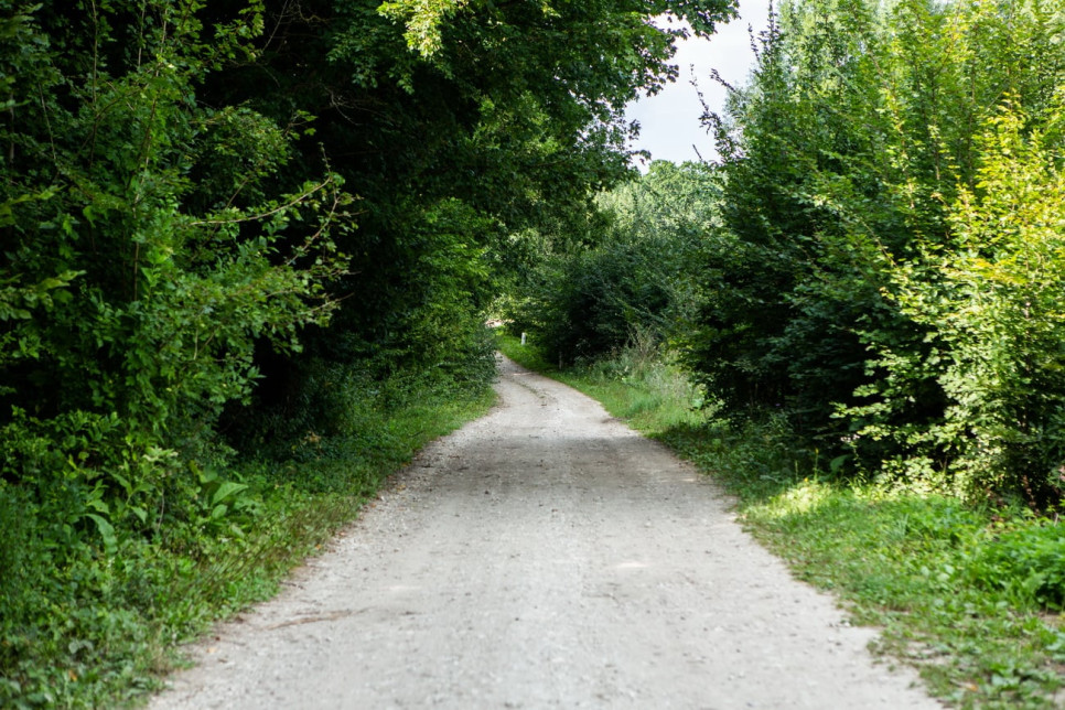 Descoperă