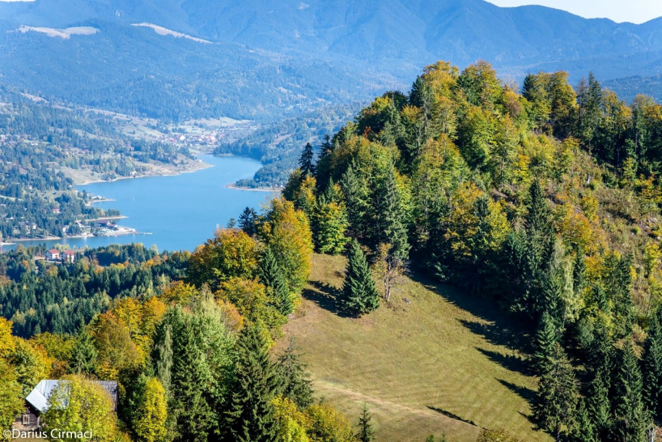 Ce mai gasești fain în Colibița