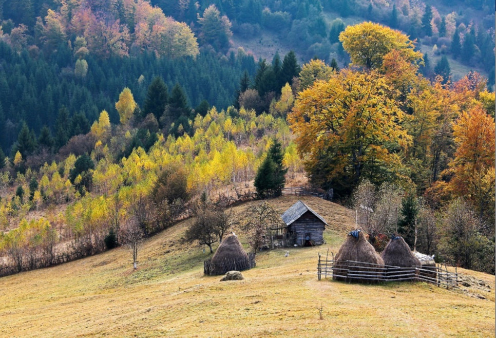 Bran, locul care a pus Transilvania și România pe harta mondială