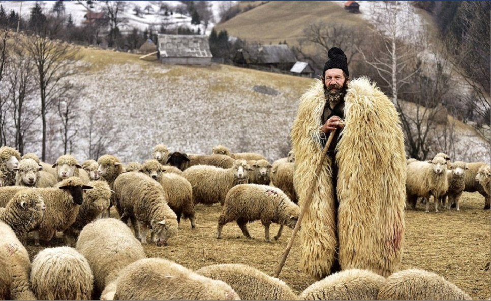Descoperă