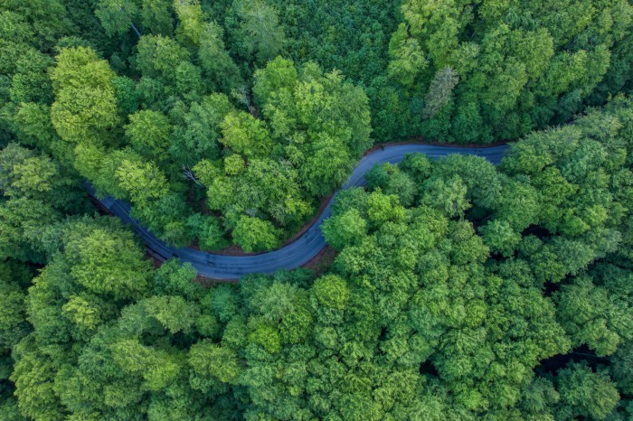 Băile Balvanyos, Covasna
