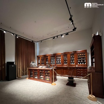 Muzeul Țării Crișurilor, Bihor