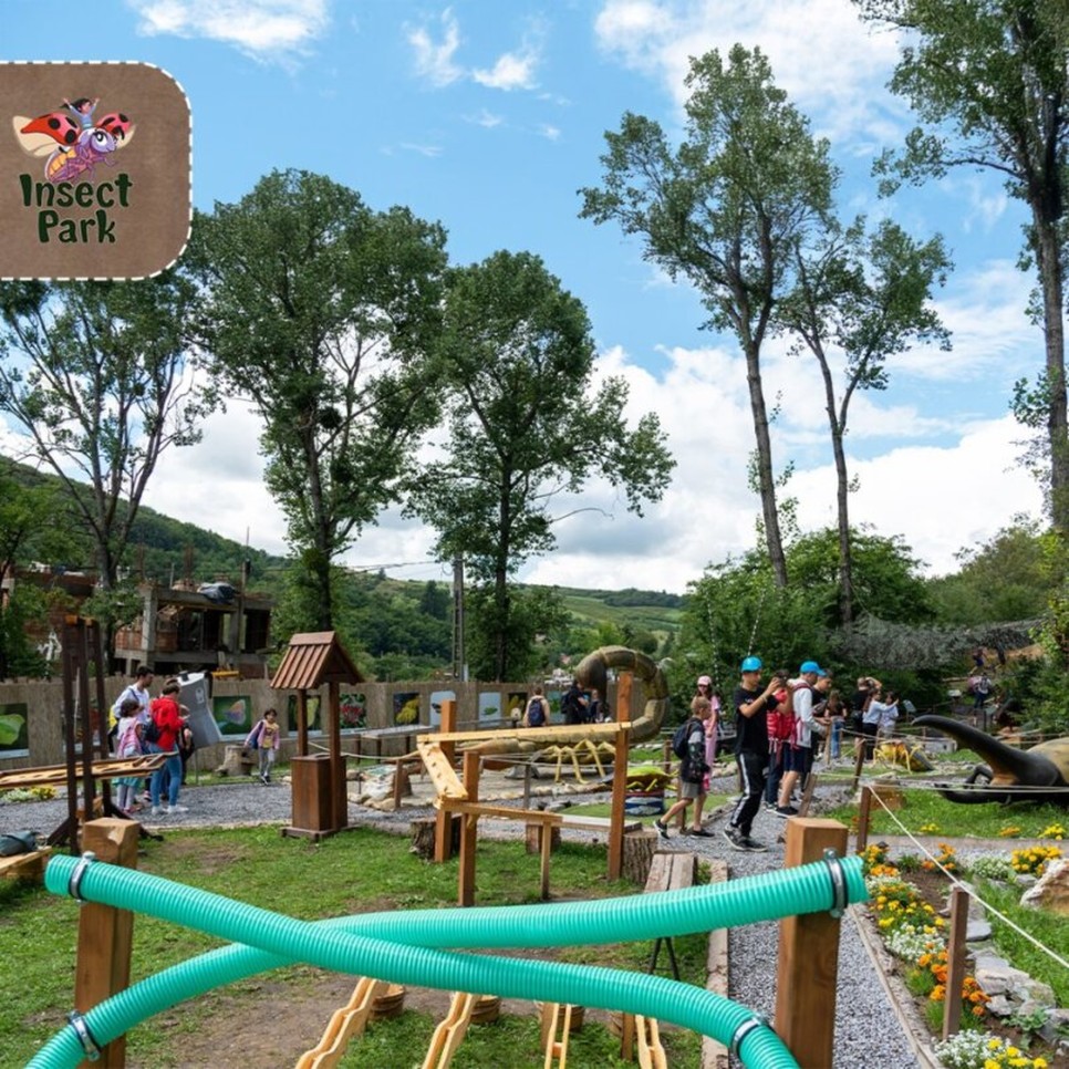 Aventură, Educație și Joacă în Lumea Insectelor Gigant