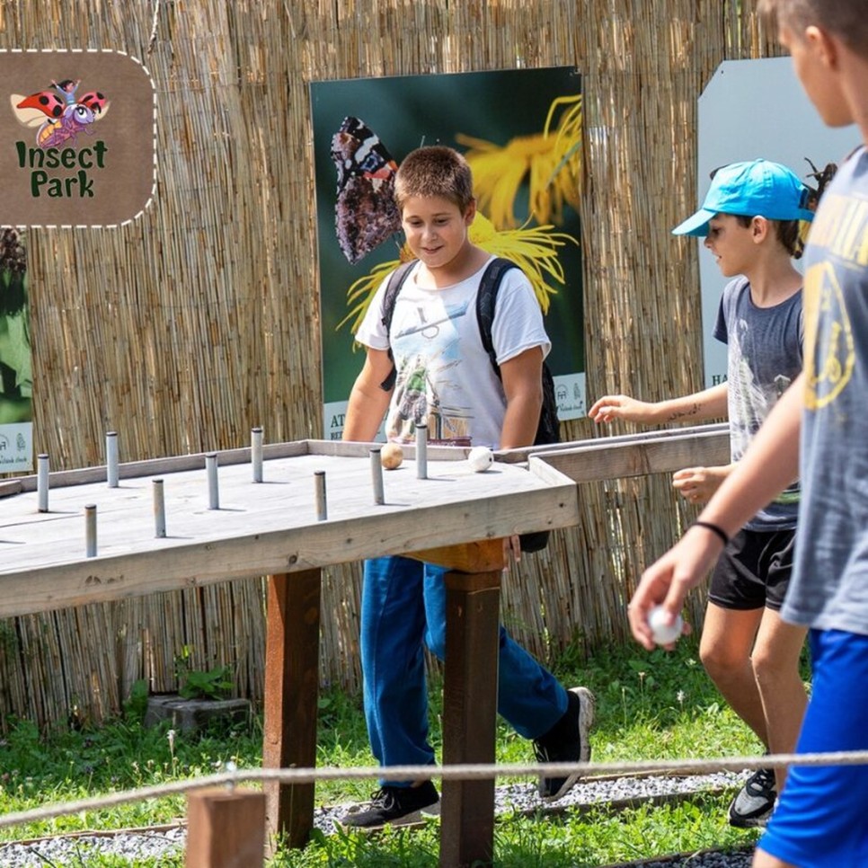 Aventură, Educație și Joacă în Lumea Insectelor Gigant