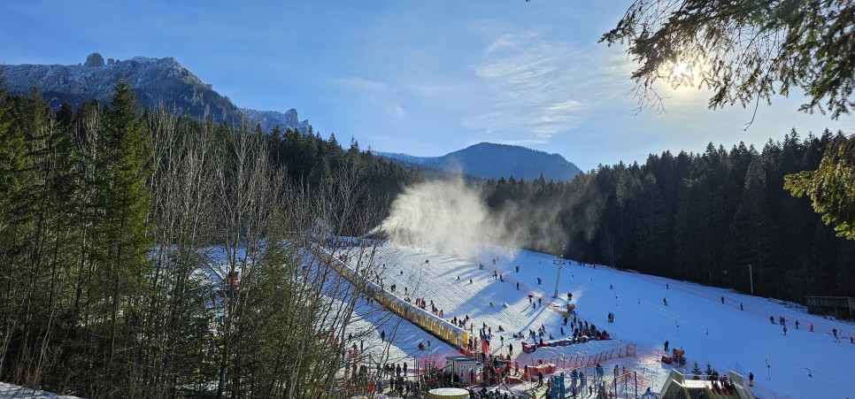 Distracție pentru Toate Vârstele, Tot Anul