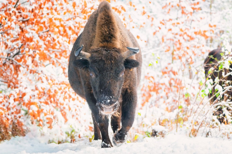 Experiențe care nu se repetă