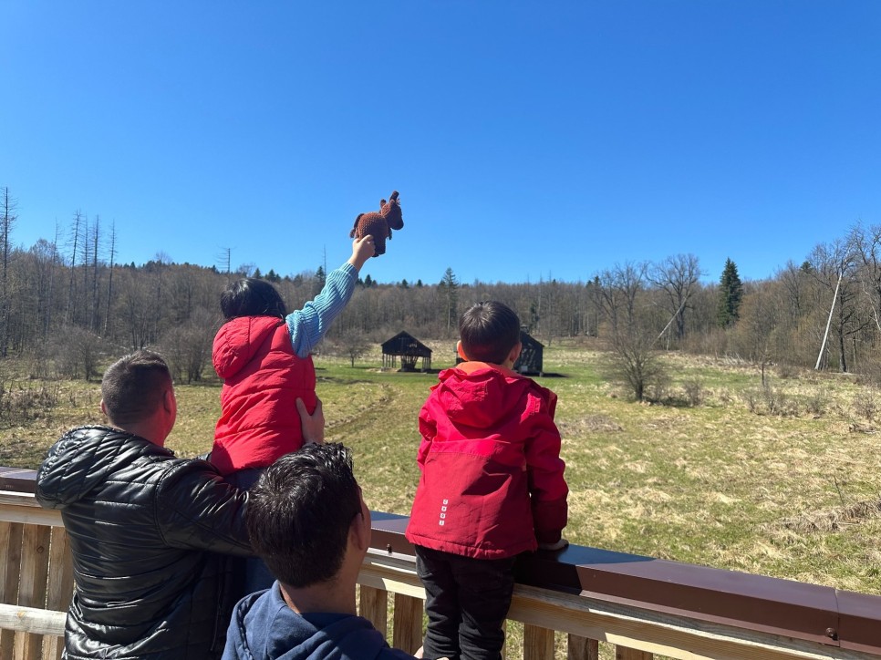 Experiențe care nu se repetă