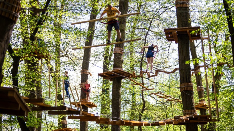 Distracție și relaxare într-un singur loc